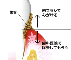 メインテナンンス